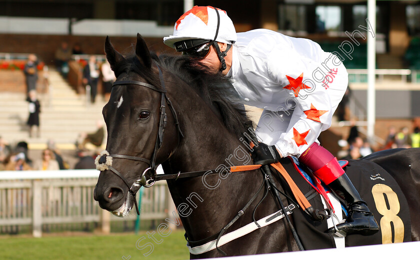 King-Ademar-0001 
 KING ADEMAR (Frankie Dettori)
Newmarket 24 Oct 2018 - Pic Steven Cargill / Racingfotos.com