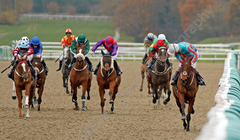 Lake-Shore-Drive-0001 
 LAKE SHORE DRIVE (Stevie Donohoe) wins The Betway Handicap Lingfield 21 Nov 2017 - Pic Steven Cargill / Racingfotos.com