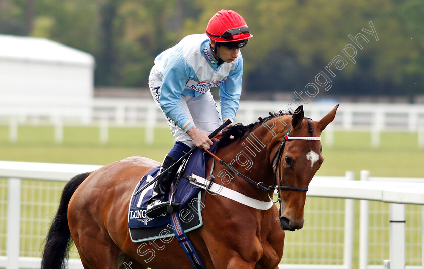 Verdana-Blue-0001 
 VERDANA BLUE (Oisin Murphy)
Ascot 1 May 2019 - Pic Steven Cargill / Racingfotos.com