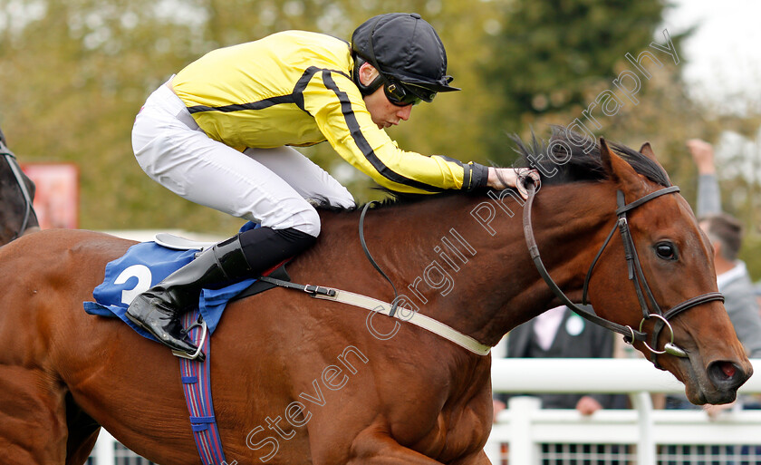 Can-Can-Sixty-Two-0003 
 CAN CAN SIXTY TWO (Callum Shepherd) wins The CPA Scaffolding Handicap Salisbury 30 Apr 2018 - Pic Steven Cargill / Racingfotos.com