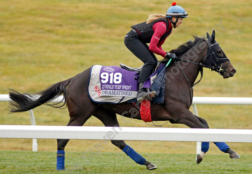 Dramatised-0001 
 DRAMATISED training for the Breeders' Cup Juvenile Turf Sprint
Keeneland USA 2 Nov 2022 - Pic Steven Cargill / Racingfotos.com