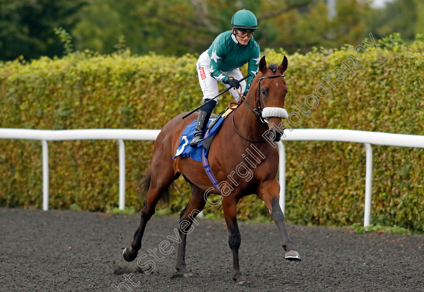 Boubyan-0001 
 BOUBYAN (Hollie Doyle)
Kempton 6 Sep 2024 - Pic Steven Cargill / Racingfotos.com