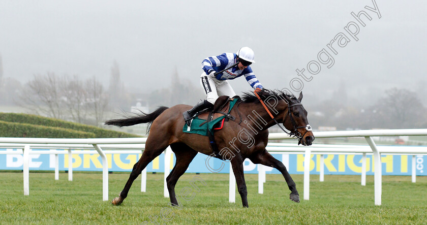 Frodon-0007 
 FRODON (Bryony Frost) wins The BetBright Trial Cotswold Chase
Cheltenham 26 Jan 2019 - Pic Steven Cargill / Racingfotos.com