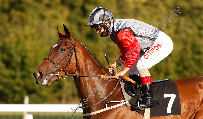 Dreams-Unwind-0001 
 DREAMS UNWIND (Franny Norton)
Chelmsford 22 Aug 2020 - Pic Steven Cargill / Racingfotos.com