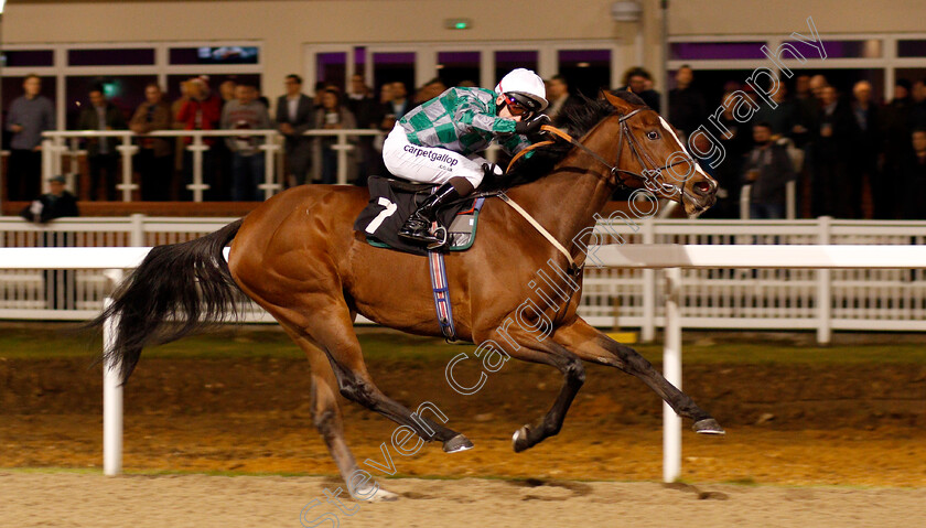 Karijini-0004 
 KARIJINI (Edward Greatrex) wins The Bet toteexacta At betfred.com Maiden Stakes Chelmsford 8 Dec 2017 - Pic Steven Cargill / Racingfotos.com