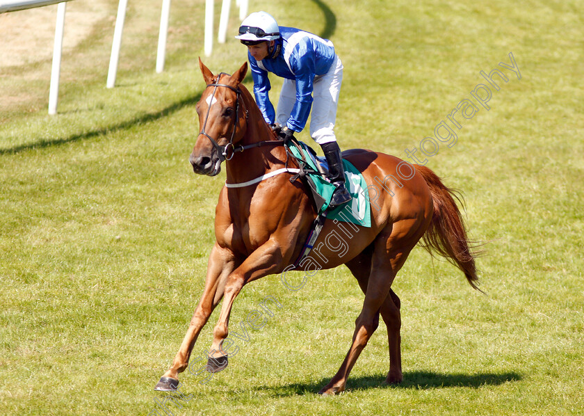 Orion s-Bow-0001 
 ORION'S BOW (David Allan)
Thirsk 4 Jul 2018 - Pic Steven Cargill / Racingfotos.com