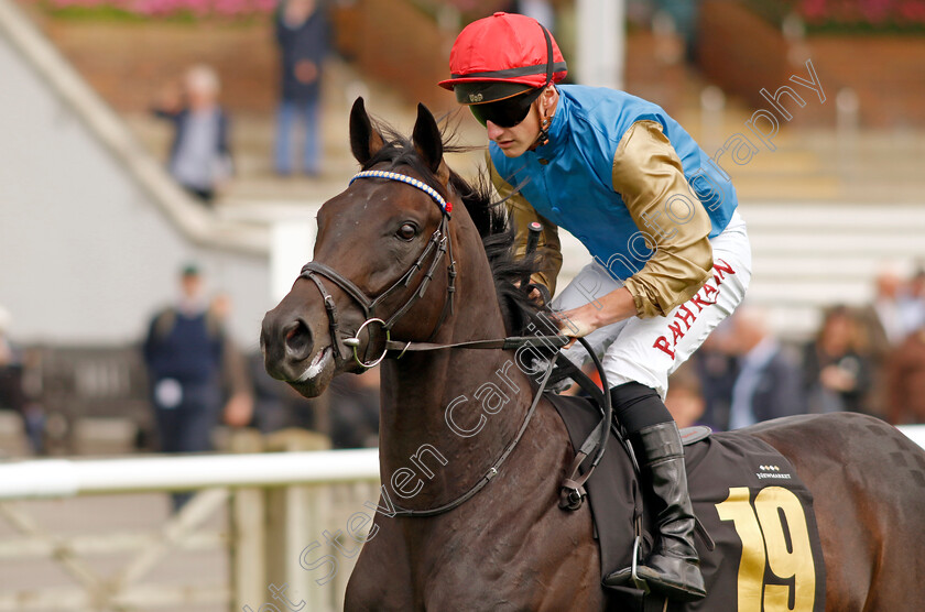 Wafei-0001 
 WAFEI (Tom Marquand)
Newmarket 28 Sep 2023 - Pic Steven Cargill / Racingfotos.com