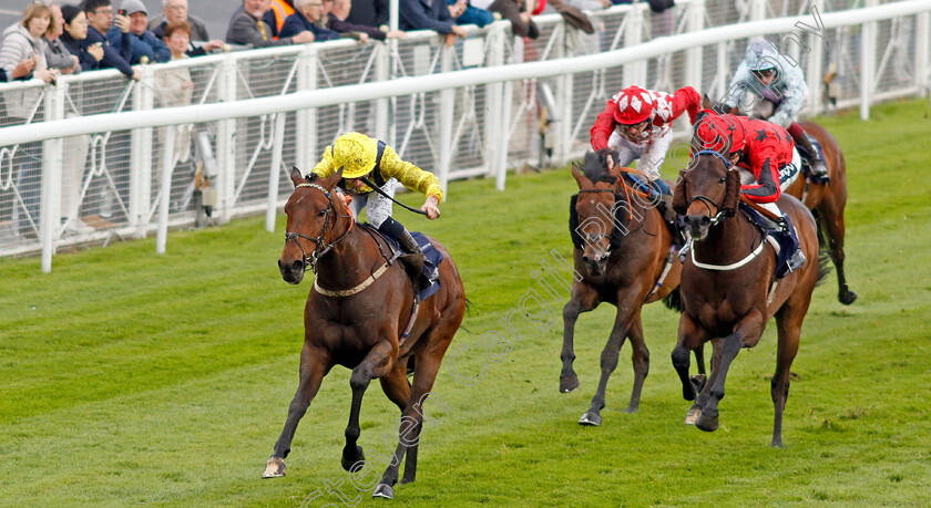 Hodler-0006 
 HODLER (Ryan Sexton) beats PAWS FOR THOUGHT (right) in The Everyone's Turf Handicap
Chester 10 May 2023 - Pic Steven Cargill / Racingfotos.com