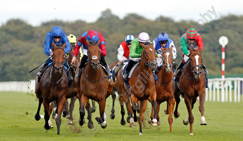 Powerful-Breeze-0002 
 POWERFUL BREEZE (2nd left, James Doyle) beats BOOMER (centre) and RUN WILD (right) in The William Hill May Hill Stakes
Doncaster 12 Sep 2019 - Pic Steven Cargill / Racingfotos.com