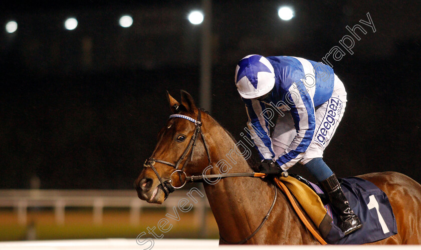 Bangkok-0003 
 BANGKOK (David Probert)
Wolverhampton 11 Jan 2021 - Pic Steven Cargill / Racingfotos.com