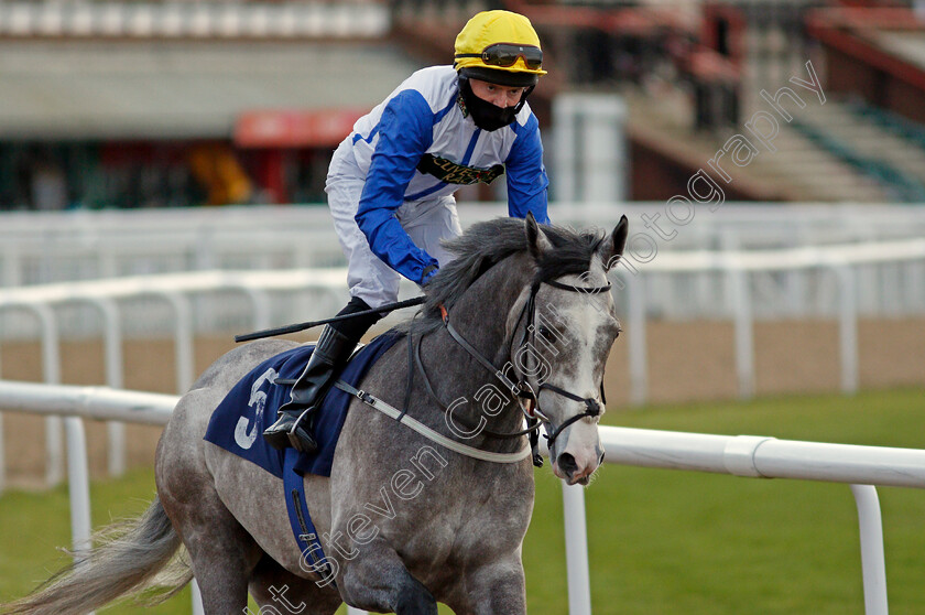 Funky-Bear-0001 
 FUNKY BEAR (Liam Keniry) 
Wolverhampton 12 Mar 2021 - Pic Steven Cargill / Racingfotos.com