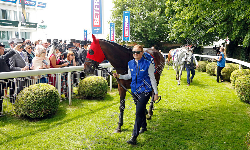 Military-Order-7559 
 MILITARY ORDER
Epsom 3 Jun 2023 - Pic Steven Cargill / Racingfotos.com