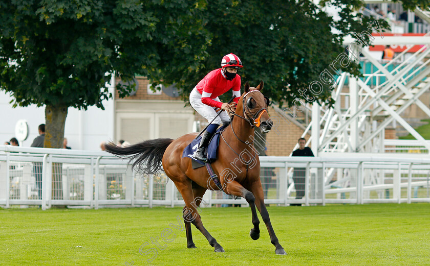 Jebel-Dukhan-0001 
 JEBEL DUKHAN (Ryan Tate)
Yarmouth 14 Jul 2021 - Pic Steven Cargill / Racingfotos.com