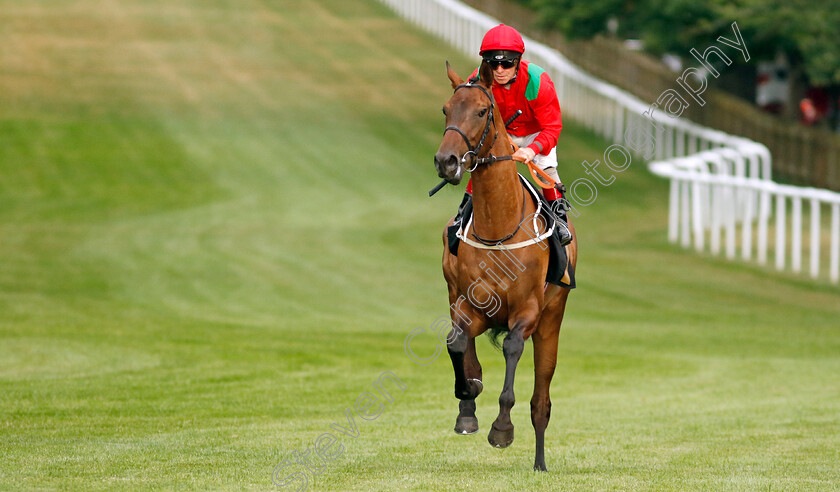 Temporize-0002 
 TEMPORIZE (Franny Norton) winner of The Bet At Racingtv.com Novice Stakes
Newmarket 22 Jul 2022 - Pic Steven Cargill / Racingfotos.com