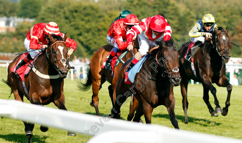 Al-Nafoorah-0001 
 AL NAFOORAH (Andrea Atzeni) beats EXCEEDING POWER (left) in The BetBright Casino Handicap Sandown 2 Sep 2017 - Pic Steven Cargill / Racingfotos.com