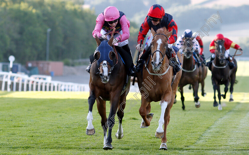 So-Near-So-Farhh-0006 
 SO NEAR SO FARHH (right, Franny Norton) beats JACOB CATS (left) in The comparebettingsites.com Handicap
Chepstow 2 Jul 2019 - Pic Steven Cargill / Racingfotos.com