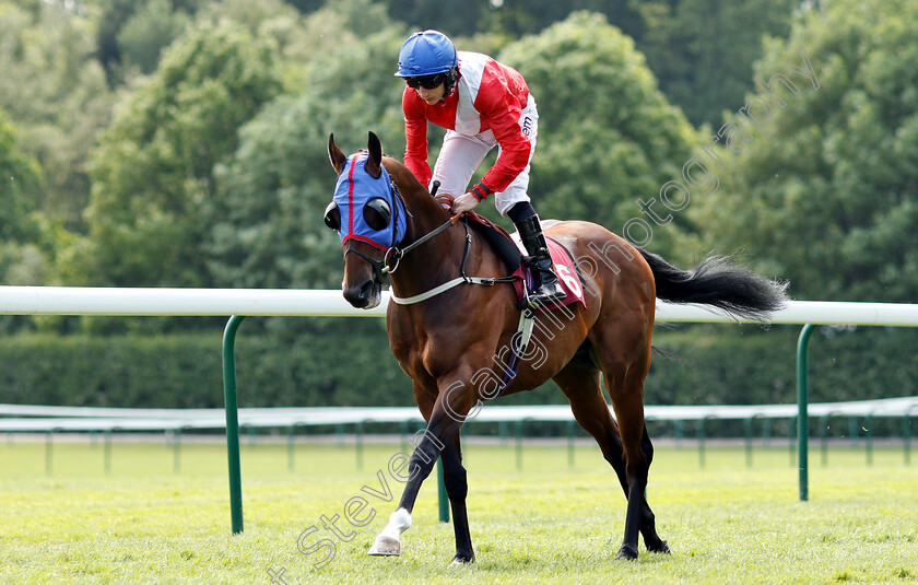 Unfortunately-0002 
 UNFORTUNATELY (P J McDonald)
Haydock 26 May 2018 - Pic Steven Cargill / Racingfotos.com