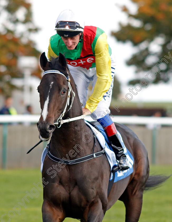 Blanchland-0001 
 BLANCHLAND (Adam Kirby)
Newmarket 8 Oct 2022 - Pic Steven Cargill / Racingfotos.com