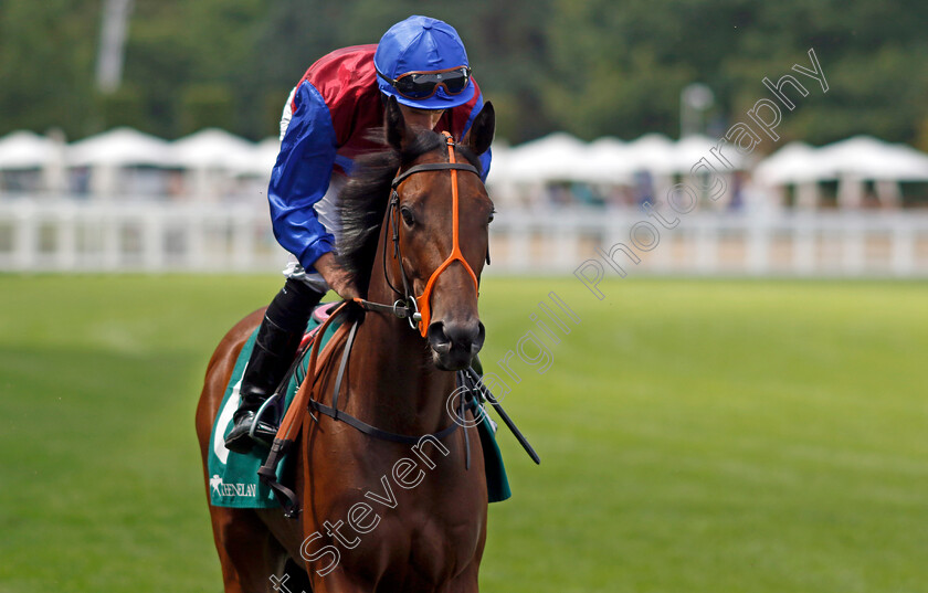 Minnetonka-0001 
 MINNETONKA (Ryan Moore)
Ascot 23 Jul 2022 - Pic Steven Cargill / Racingfotos.com