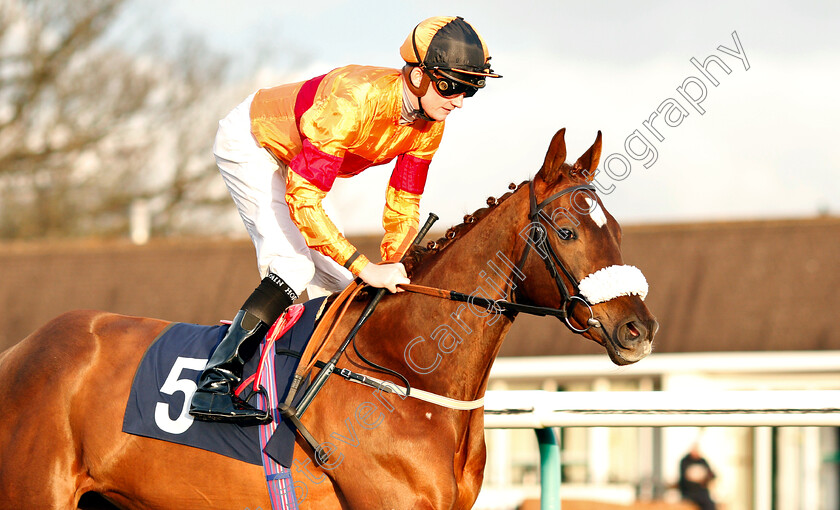 Munstead-Moonshine-0002 
 MUNSTEAD MOONSHINE (Rob Hornby)
Lingfield 18 Jan 2019 - Pic Steven Cargill / Racingfotos.com