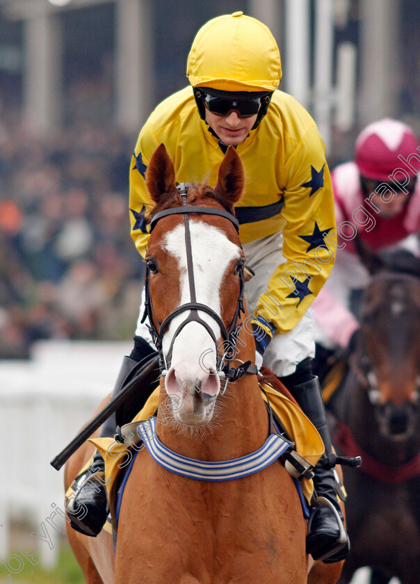 Gold-Standard-0001 
 GOLD STANDARD (Harry Bannister)
Cheltenham 25 Jan 2020 - Pic Steven Cargill / Racingfotos.com