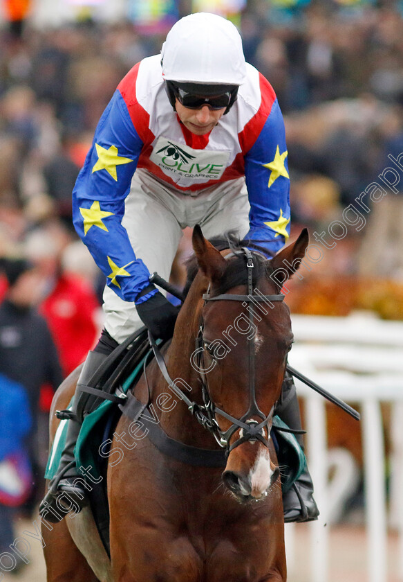 Ace-Of-Spades-0006 
 ACE OF SPADES (Harry Skelton) winner of The Sue Ryder Leckhampton Court Hospice Maiden Hurdle
Cheltenham 17 Nov 2024 - Pic Steven Cargill