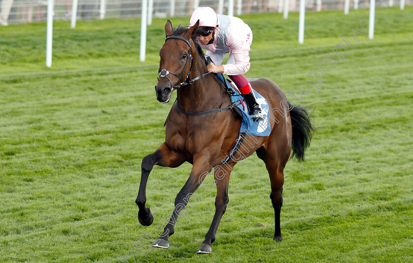 Lah-Ti-Dar-0005 
 LAH TI DAR (Frankie Dettori) wins The British EBF & Sir Henry Cecil Galtres Stakes
York 23 Aug 2018 - Pic Steven Cargill / Racingfotos.com