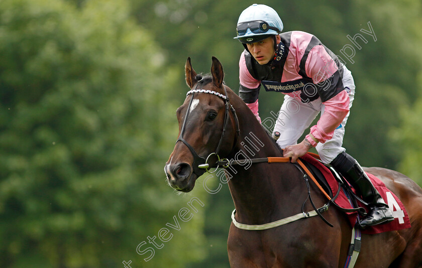 El-Caballo-0004 
 EL CABALLO (Clifford Lee) winner of The Cazoo Sandy Lane Stakes
Haydock 21 May 2022 - Pic Steven Cargill / Racingfotos.com