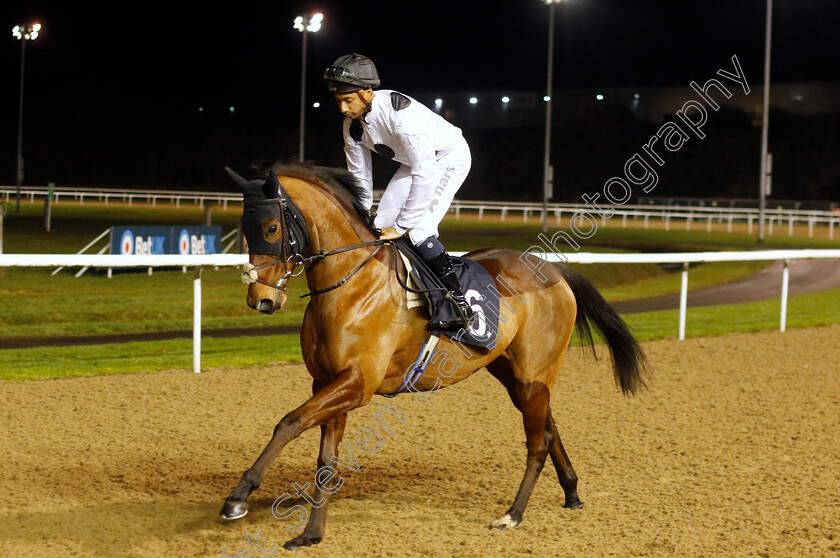 Charmaine-0001 
 CHARMAINE (Kaiya Fraser)
Wolverhampton 20 Dec 2024 - Pic Steven Cargill / Racingfotos.com