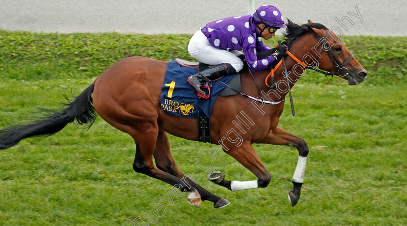 Could-Be-King-0001 
 COULD BE KING (Carlos Lopez) wins The Bro Park Sprint Championship
Bro Park, Sweden 18 Sep 2022 - Pic Steven Cargill / Racingfotos.com