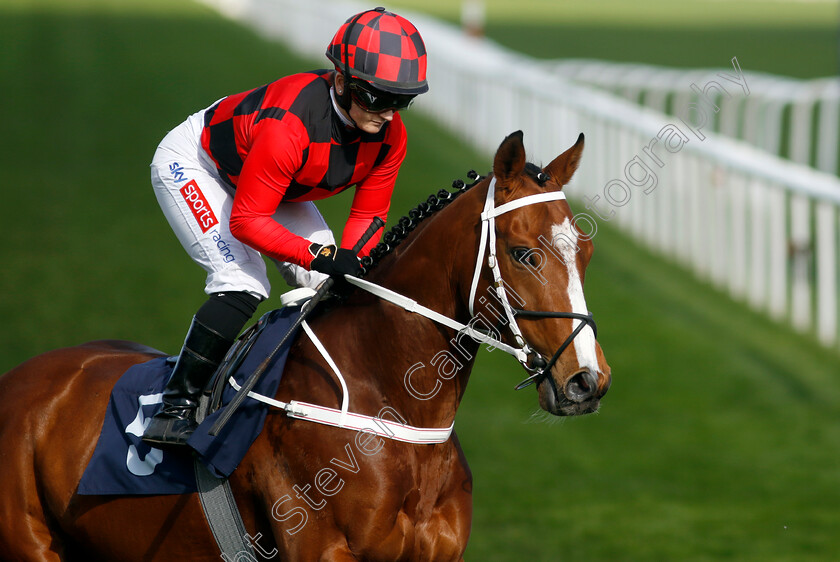 First-Officer-0002 
 FIRST OFFICER (Hollie Doyle)
Doncaster 2 Apr 2023 - Pic Steven Cargill / Racingfotos.com