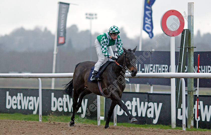 Running-Cloud-0005 
 RUNNING CLOUD (Christian Howarth) wins The Betway Apprentice Handicap
Wolverhampton 11 Mar 2022 - Pic Steven Cargill / Racingfotos.com