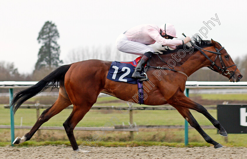 Shimmering-0006 
 SHIMMERING (Robert Havlin) wins The Ladbrokes Home Of The Odds Boost EBF Novice Stakes
Lingfield 18 Dec 2019 - Pic Steven Cargill / Racingfotos.com