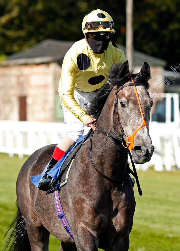 Night-Of-Dreams-0002 
 NIGHT OF DREAMS (Andrea Atzeni)
Salisbury 1 Oct 2020 - Pic Steven Cargill / Racingfotos.com