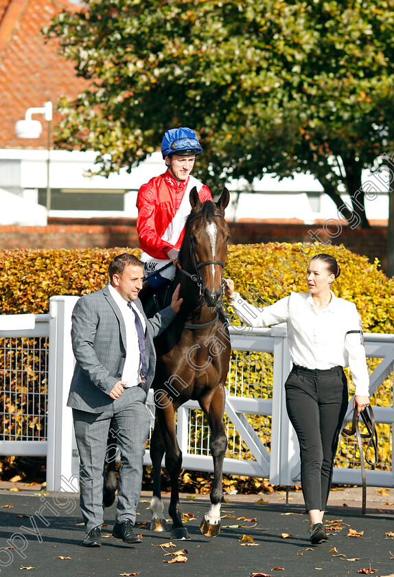 Sub-Rosa-0001 
 SUB ROSA (David Egan)
Newmarket 19 Oct 2022 - Pic Steven Cargill / Racingfotos.com