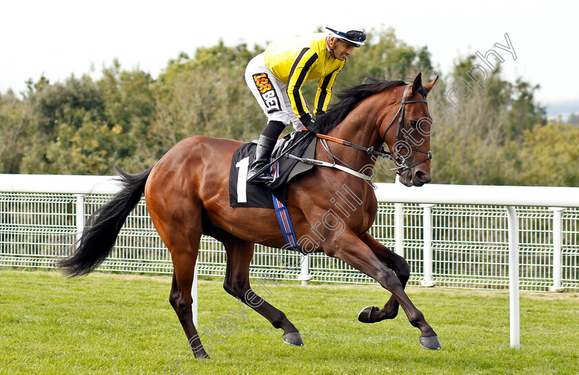 Allmankind-0001 
 ALLMANKIND (Silvestre De Sousa)
Goodwood 4 Sep 2018 - Pic Steven Cargill / Racingfotos.com