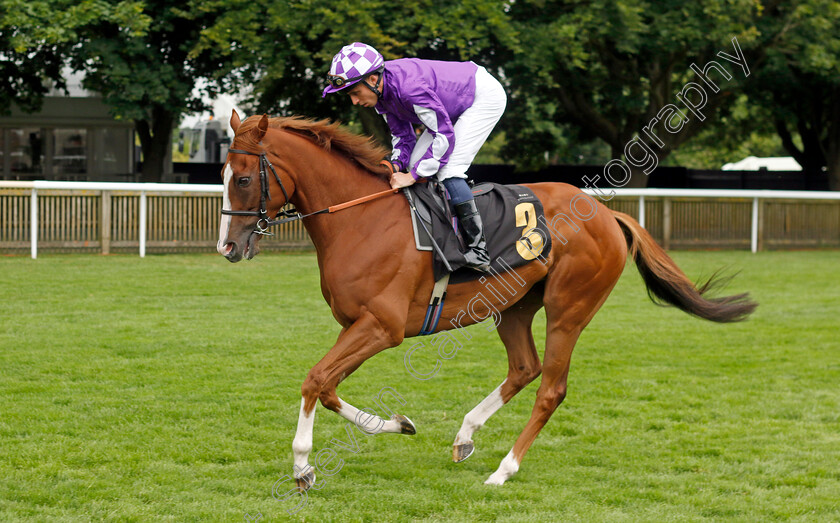 Gisburn-0001 
 GISBURN (William Buick)
Newmarket 12 Jul 2024 - Pic Steven Cargill / Racingfotos.com