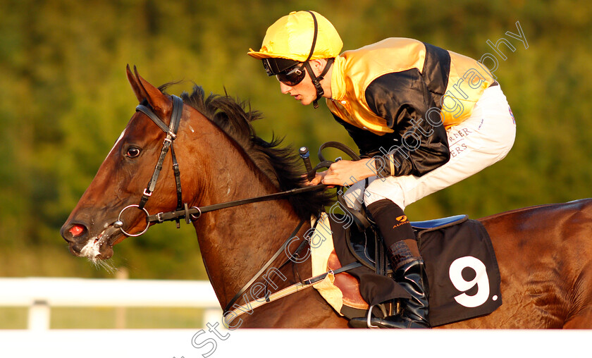 Petite-Malle-0001 
 PETITE MALLE (George Wood)
Chelmsford 23 Jul 2019 - Pic Steven Cargill / Racingfotos.com