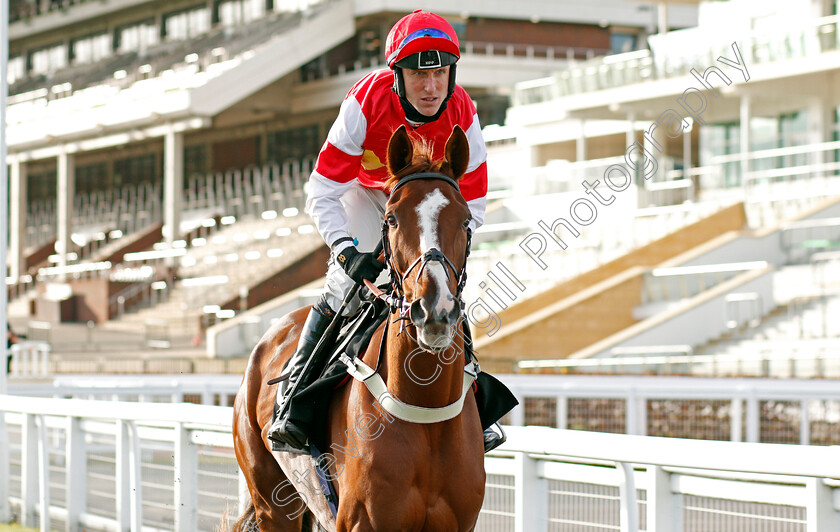 The-Big-Breakaway-0001 
 THE BIG BREAKAWAY (Robbie Power) winner of The mallardjewellers.com Novices Chase
Cheltenham 15 Nov 2020 - Pic Steven Cargill / Racingfotos.com