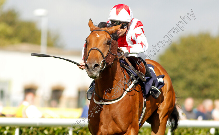 Dubai-Acclaim-0004 
 DUBAI ACCLAIM (Sammy Jo Bell) wins The Mondialiste Leger Legends Classified Stakes
Doncaster 11 Sep 2019 - Pic Steven Cargill / Racingfotos.com