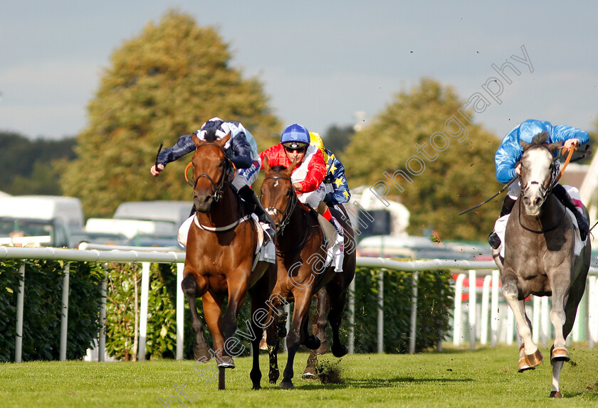 Picture-No-Sound-0001 
 PICTURE NO SOUND (left, Paul Hanagan) beats WHINMOOR (right) in The DFS Handicap
Doncaster 13 Sep 2018 - Pic Steven Cargill / Racingfotos.com