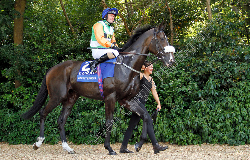 Forest-Ranger-0002 
 FOREST RANGER (Tony Hamilton)
Sandown 7 Jul 2018 - Pic Steven Cargill / Racingfotos.com