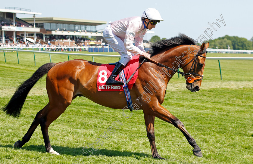 Royal-Cape-0002 
 ROYAL CAPE (William Buick)
Haydock 27 May 2023 - Pic Steven Cargill / Racingfotos.com