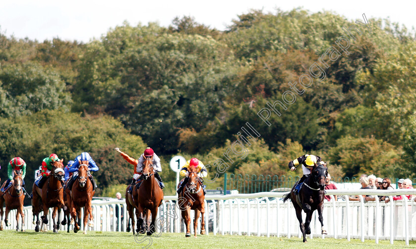 Rise-Hall-0002 
 RISE HALL (Callum Shepherd) wins The M J Church Novice Stakes
Salisbury 16 Aug 2018 - Pic Steven Cargill / Racingfotos.com