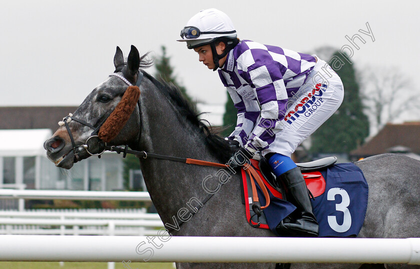 Volpone-Jelois-0002 
 VOLPONE JELOIS (Megan Nicholls) Lingfield 20 Dec 2017 - Pic Steven Cargill / Racingfotos.com