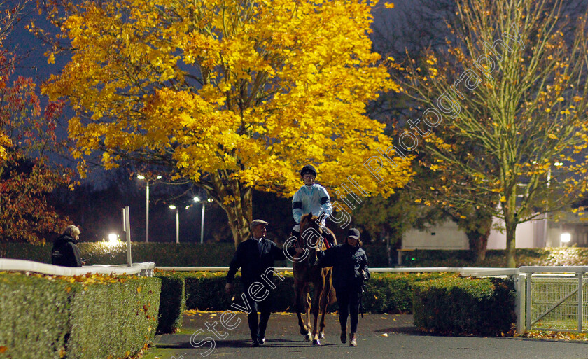 Ammolite-0001 
 AMMOLITE (Jack Mitchell)
Kempton 10 Nov 2021 - Pic Steven Cargill / Racingfotos.com