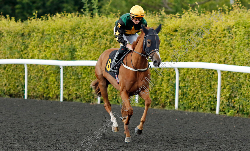 Lilly s-Bet-0001 
 LILLY'S BET (Tom Marquand)
Kempton 16 Jul 2024 - Pic Steven Cargill / Racingfotos.com