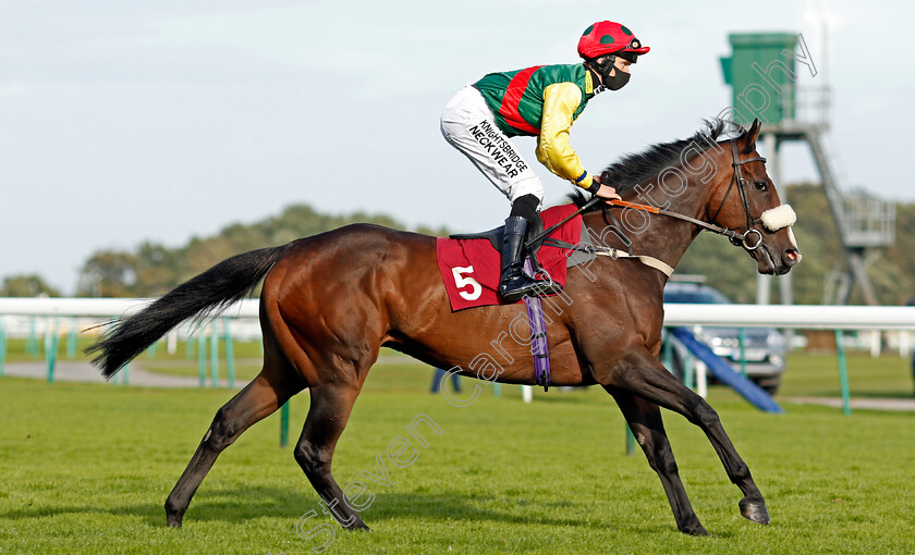 Benadalid-0001 
 BENADALID (Phil Dennis)
Haydock 4 Sep 2020 - Pic Steven Cargill / Racingfotos.com