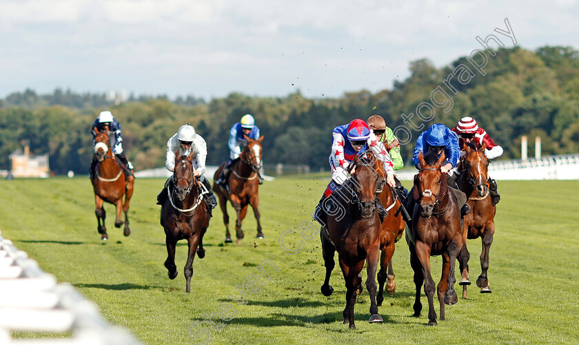 Great-Hall-0001 
 GREAT HALL (centre, Fran Berry) beats ALQAMAR (right) in The Victoria Racing Club Handicap Ascot 8 Sep 2017 - Pic Steven Cargill / Racingfotos.com