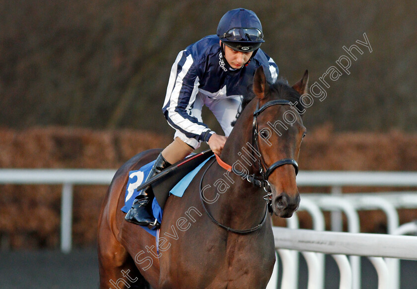 Kyllachy-Gala-0001 
 KYLLACHY GALA (Gabriele Malune) winner of The 32Red Handicap Kempton 7 Mar 2018 - Pic Steven Cargill / Racingfotos.com